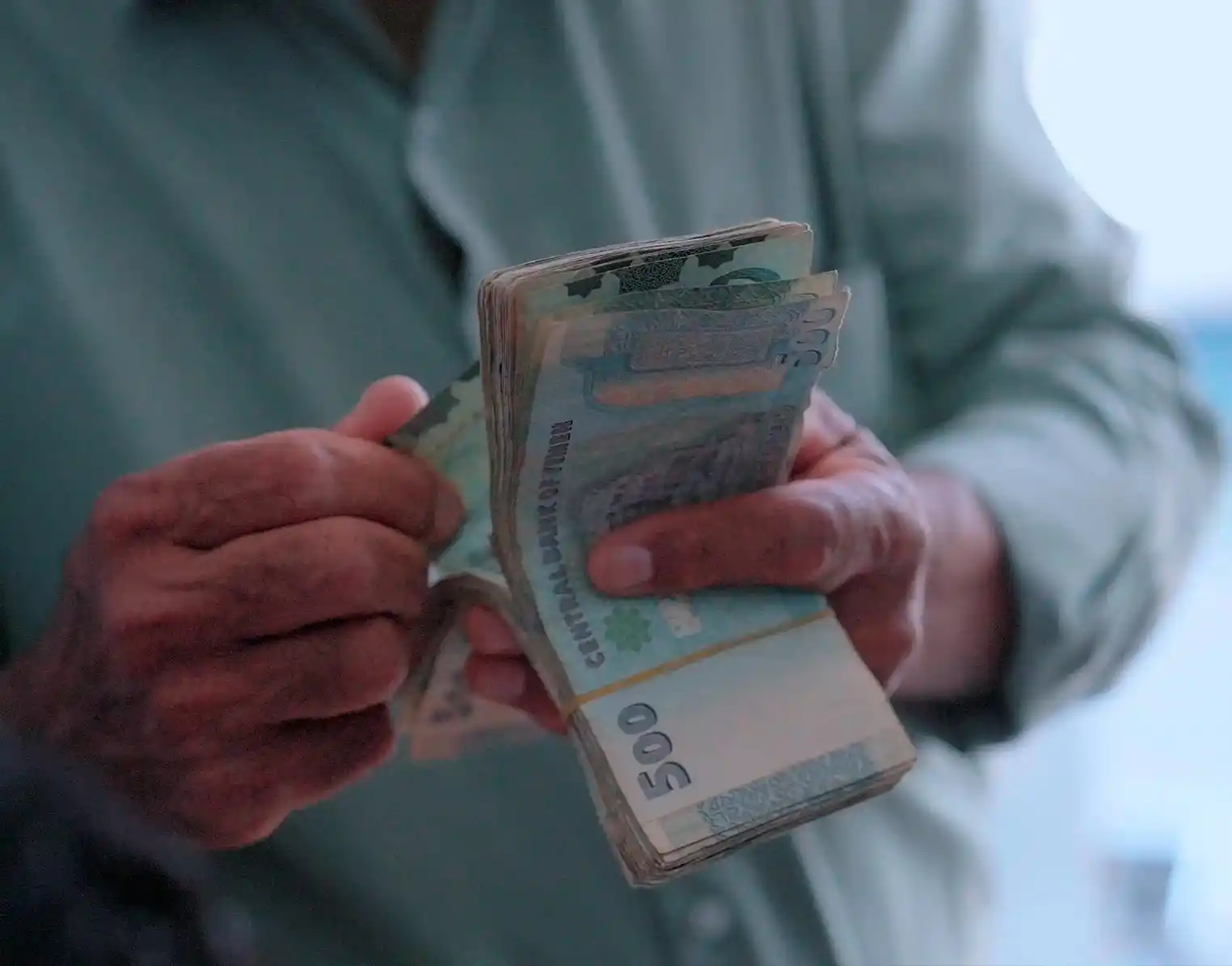 قطاع الأمن الغذائي وسبل العيش 